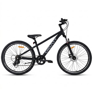 Chanty MTB 20