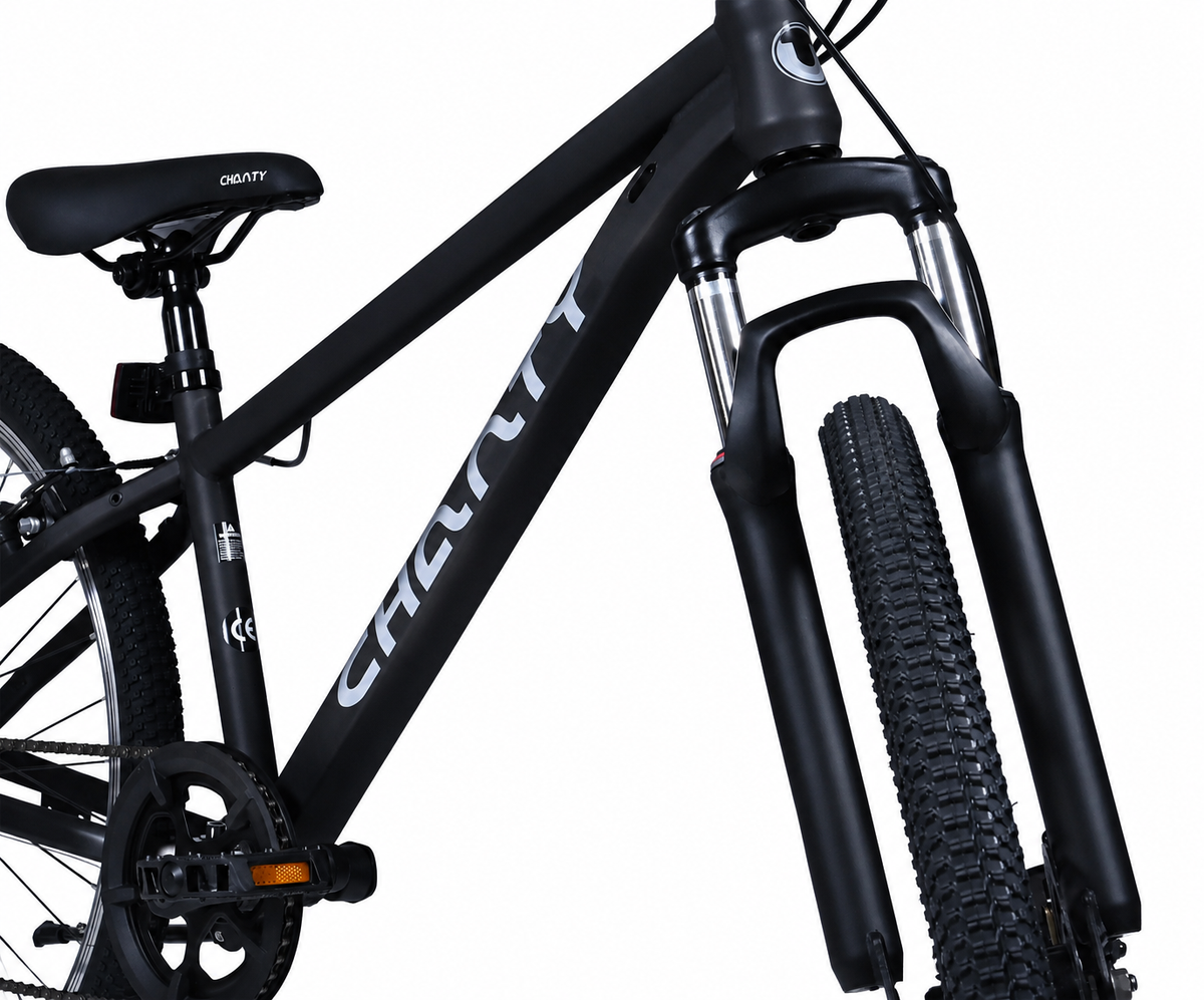 Chanty MTB 26