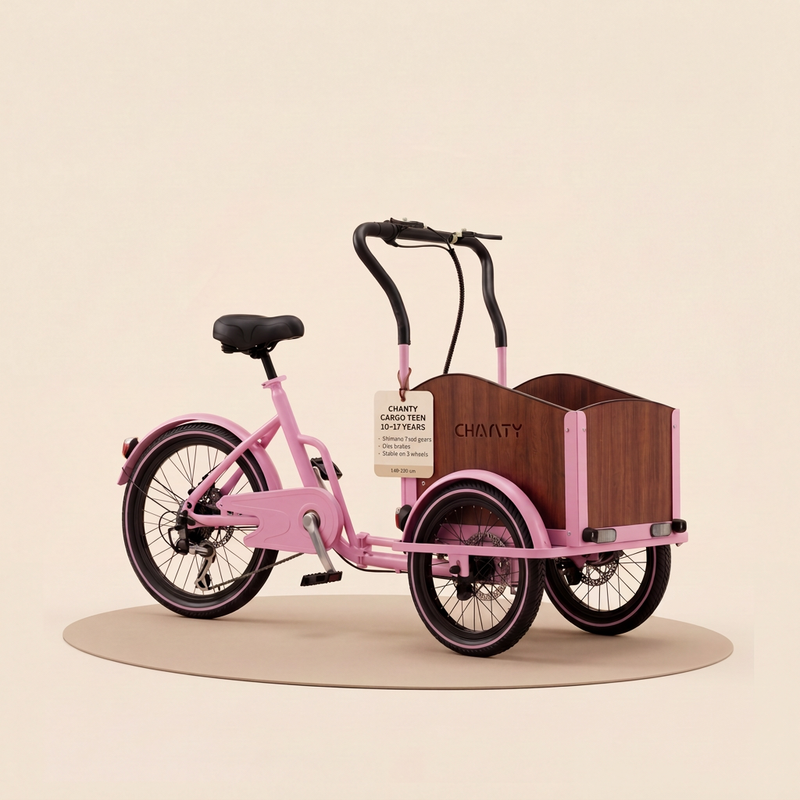 Chanty Cargo Teen - Pink
